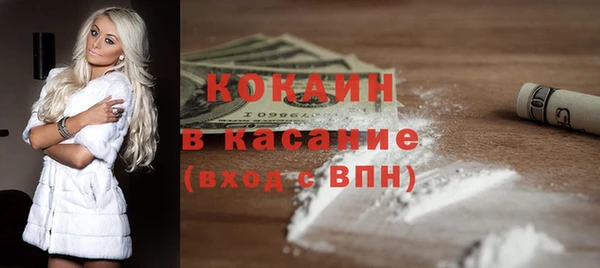 шишки Пересвет
